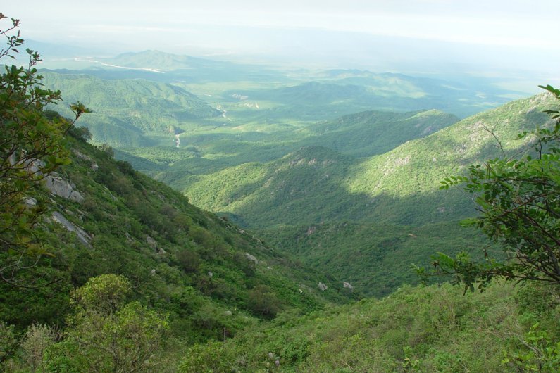 coparmex