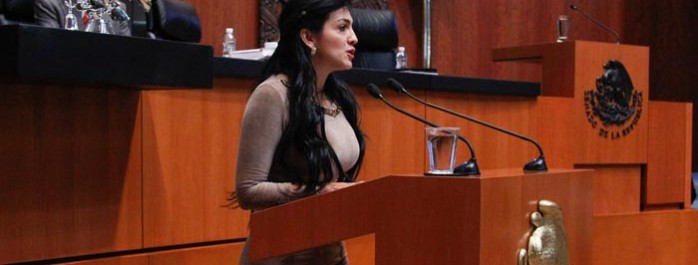 llama-iris-698×265