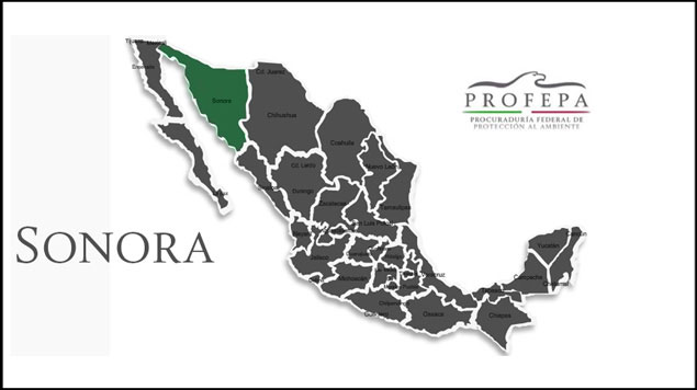 20140811_14_10_SonoraProfepa