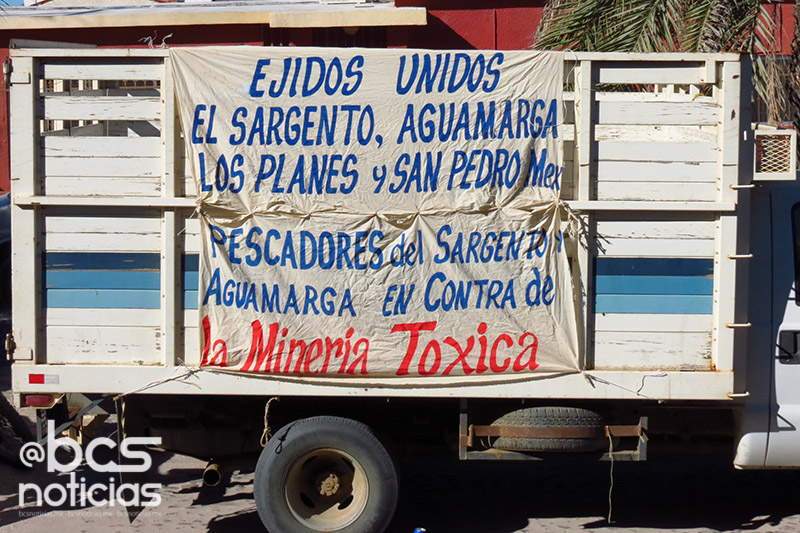 loscardones10