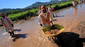 Sigue la crisis por contaminación en Sonora: sindicato
