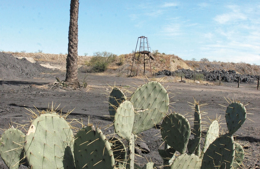 minascoahuila28399