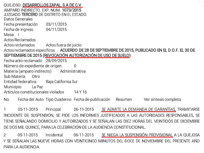 amparo-zapal-vs-ayuntamiento