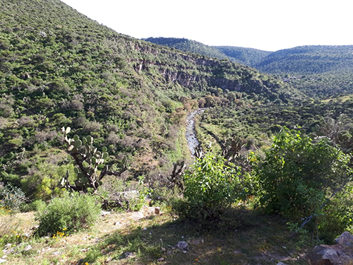 Milpillas-1