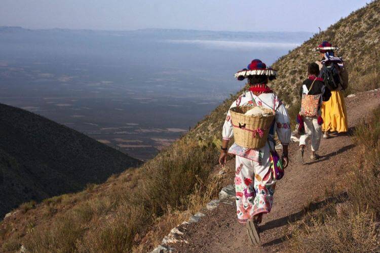 Exigen wixaritari cancelar concesiones mineras en Wirikuta
